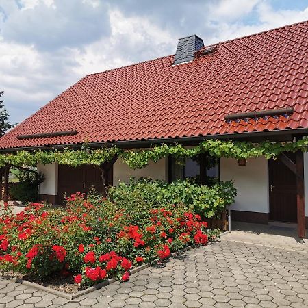 Ferienhaus Rosenhof Glaubitz Exterior photo