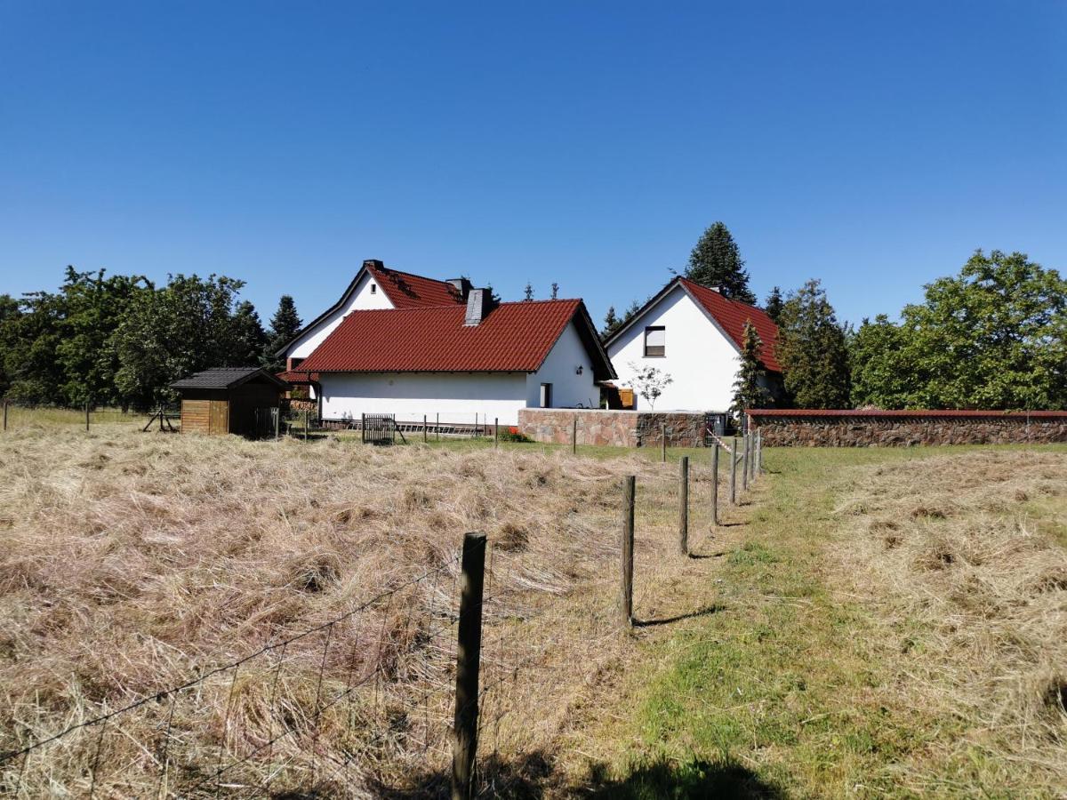 Ferienhaus Rosenhof Glaubitz Exterior photo